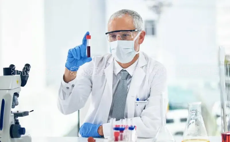 贝博app体育下载安装