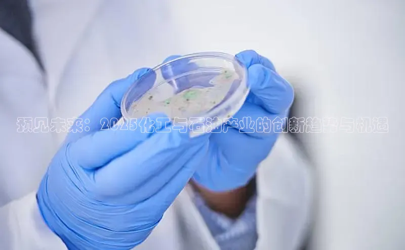 贝博app体育下载安装