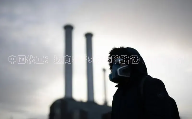 贝博bb平台体育网页版