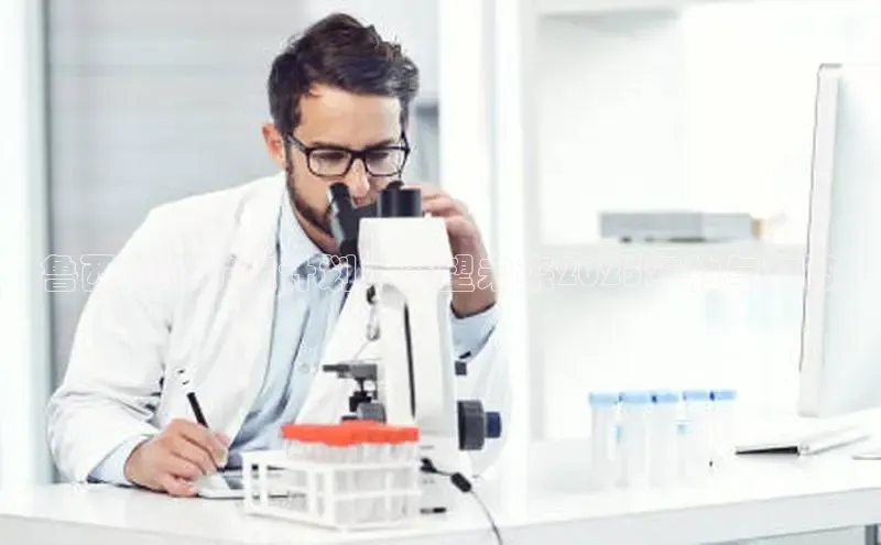 贝博官网下载app